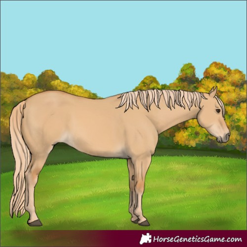 Horse Color:Red Dun 