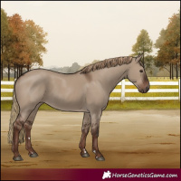 Horse Color:Liver Red Dun Rabicano