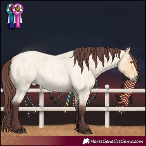 Horse Color:Chocolate Buckskin Roan 
