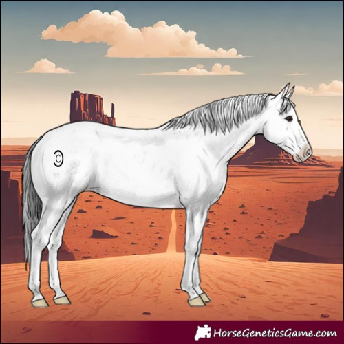 Horse Color:Brown Sabino Rabicano 
