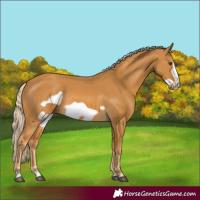 Horse Color:Palomino Frame 