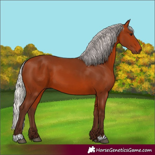 Horse Color:Silver Bay