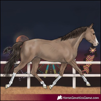 Horse Color:Classic Champagne Splash Tobiano 
