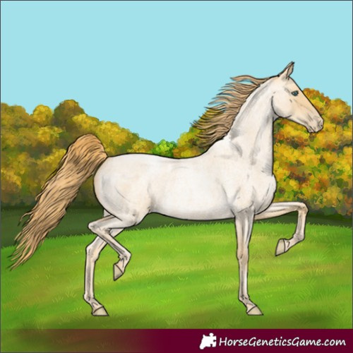 Horse Color:Smoky Blue Roan Pearl 