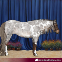 Horse Color:White Spotted Liver Red Roan 