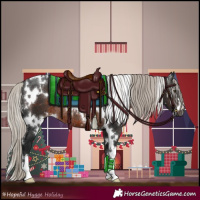 Horse Color:Gray White Spotted Silver Brown Appaloosa Rabicano 