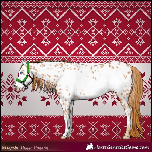 Horse Color:Chestnut Frame Appaloosa