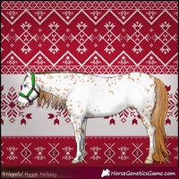 Horse Color:Chestnut Frame Near Leopard 