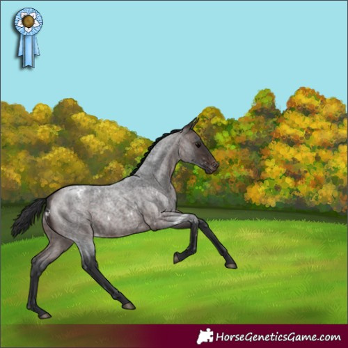 Horse Color:White Spotted Bay Roan Varnish