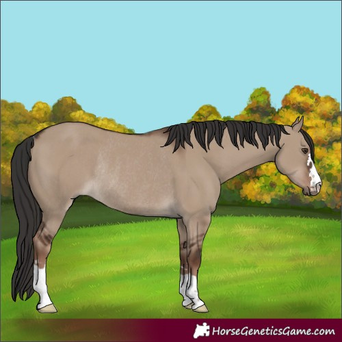 Horse Color:Liver Red Dun Rabicano