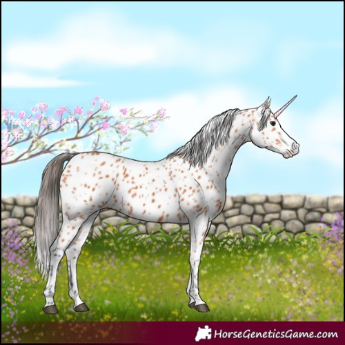 Horse Color:Bay Splash Leopard 