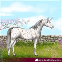 Horse Color:Bay Splash Leopard 