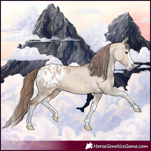 Horse Color:Red Dun Splash Blanket 