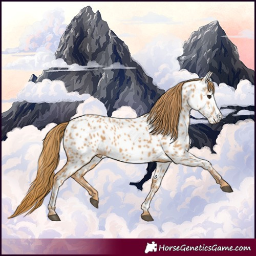 Horse Color:Chestnut Near Leopard