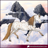 Horse Color:Chestnut Near Leopard