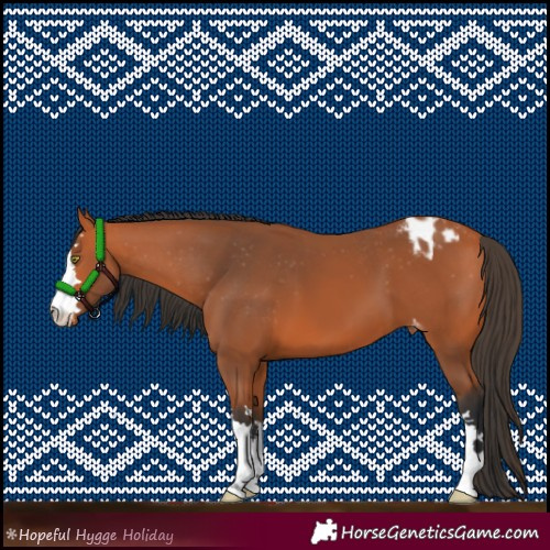 Horse Color:Bay Varnish