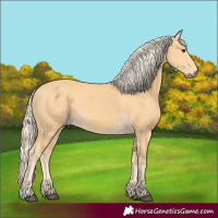 Horse Color:Palomino