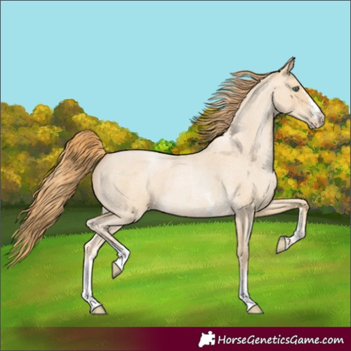Horse Color:Smoky Blue Roan Pearl Sabino 