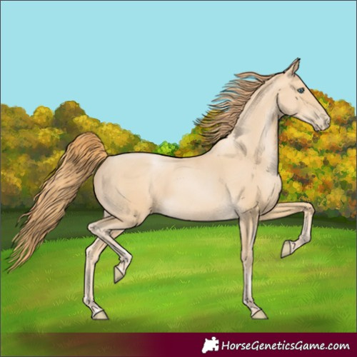 Horse Color:Smoky Black Pearl 