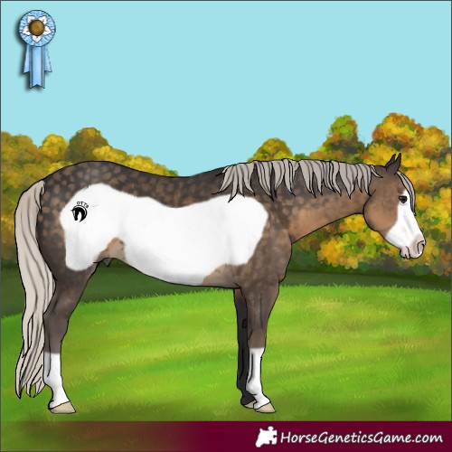 Horse Color:Silver Smoky Black Frame 
