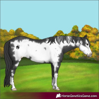 Horse Color:Black Frame