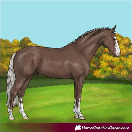 Horse Color:Silver Black 