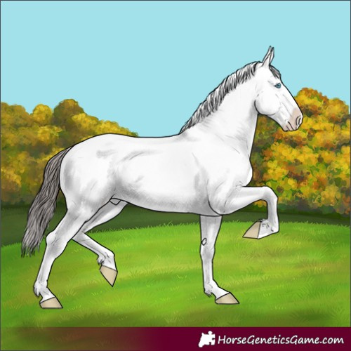 Horse Color:White Spotted Classic Champagne Roan Splash 