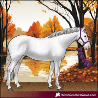 Horse Color:Chestnut Tobiano Near Fewspot 