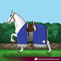 Horse Color:Buckskin Tobiano Fewspot 