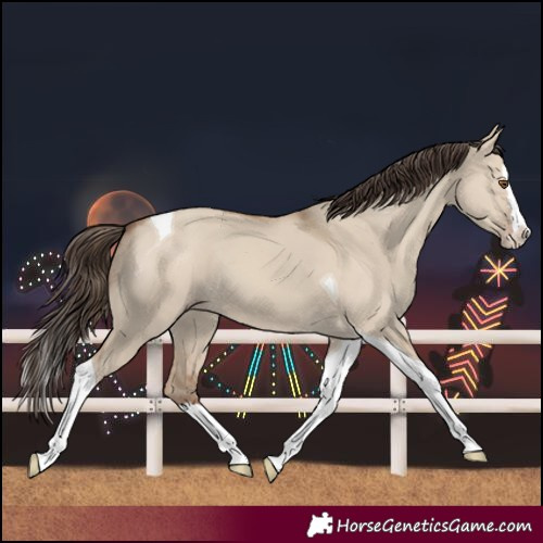 Horse Color:Classic Champagne Dun Splash Tobiano