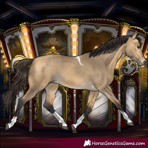 Horse Color:Buckskin Dun Tobiano