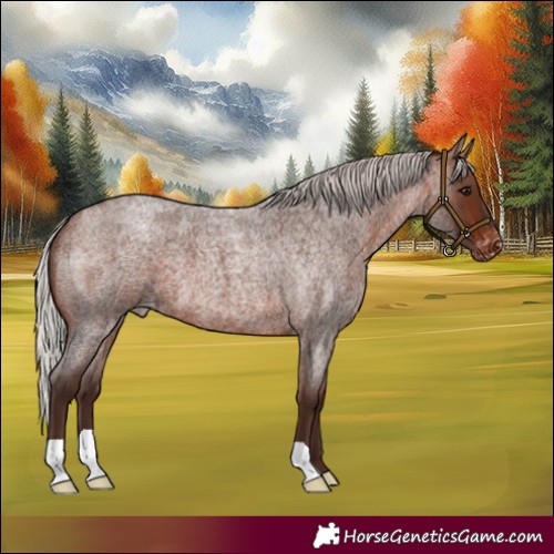 Horse Color:Silver Brown Roan Varnish
