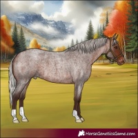 Horse Color:Silver Brown Roan Varnish