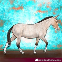 Horse Color:Bay Roan Dun Splash 