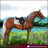 Horse Color:Silver Bay