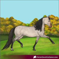 Horse Color:Brown Roan Dun 