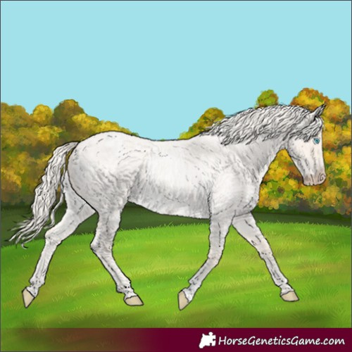 Horse Color:Cremello Roan Dun 