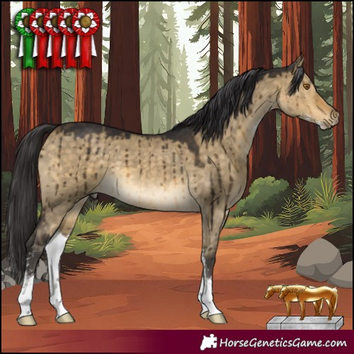 Horse Color:Buckskin Dun Sabino Brindle 