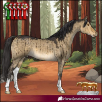Horse Color:Buckskin Dun Sabino Brindle 