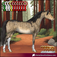 Horse Color:Buckskin Dun Sabino Brindle 