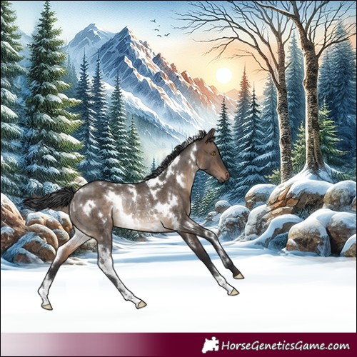 Horse Color:White Spotted Brown Dun Rabicano