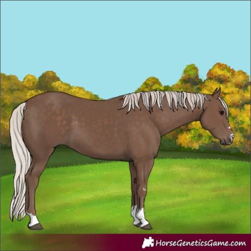 Horse Color:Silver Black 