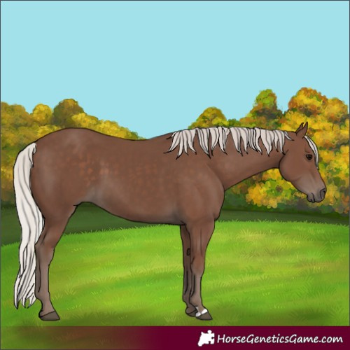 Horse Color:Silver Black 