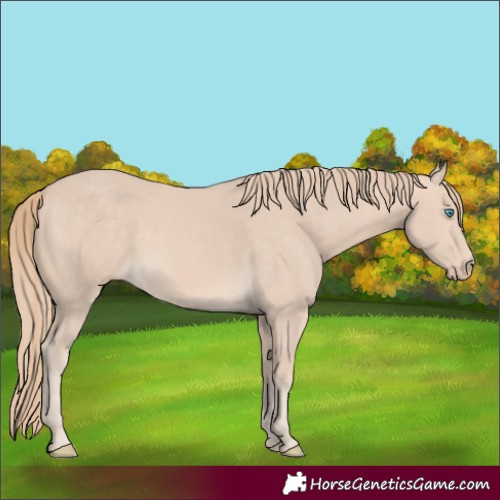 Horse Color:Perlino 