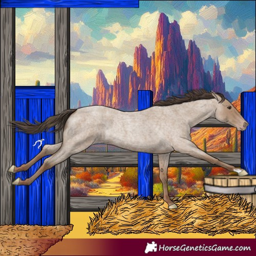 Horse Color:Classic Champagne Roan Rabicano 