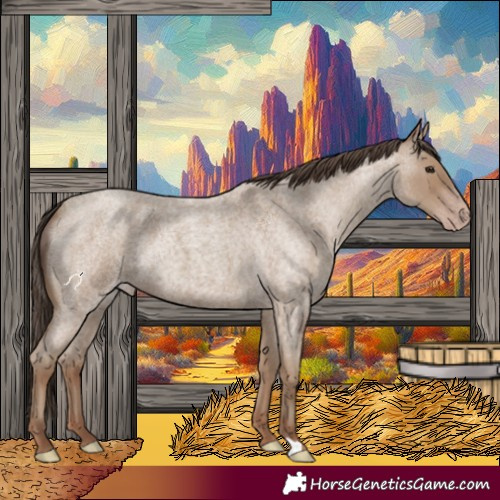 Horse Color:Classic Champagne Roan Rabicano