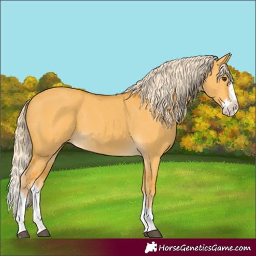 Horse Color:Palomino Dun Splash 