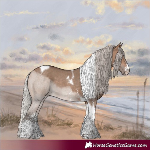 Horse Color:Silver Bay Dun Sabino Tobiano 