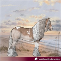 Horse Color:Silver Bay Dun Sabino Tobiano 