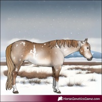 Horse Color:Gray White Spotted Liver Red Dun Tobiano 